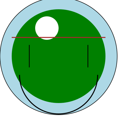 Maße des menschlichen Auges in Millimetern - DrawGPT