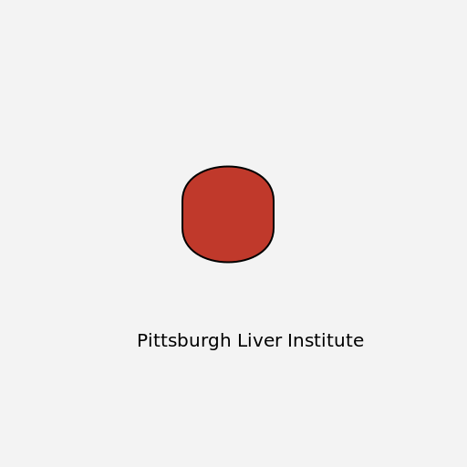 Pittsburgh Liver Institute - DrawGPT