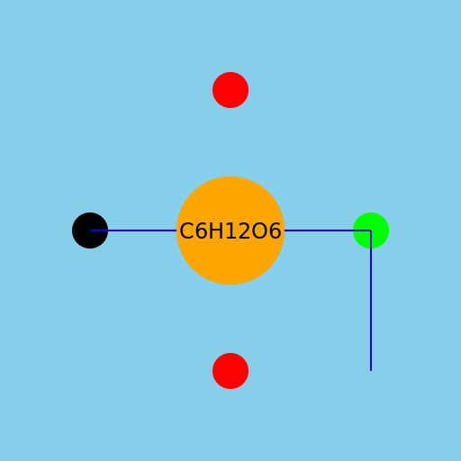 Photosynthesis Atoms - DrawGPT
