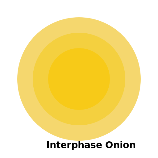 Interphase onion - DrawGPT