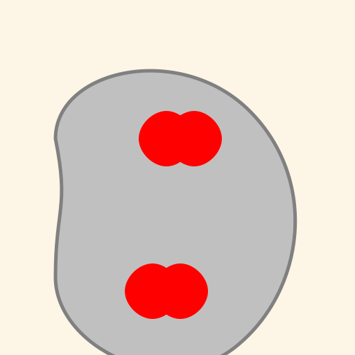 Beautiful Healthy Human Liver - DrawGPT