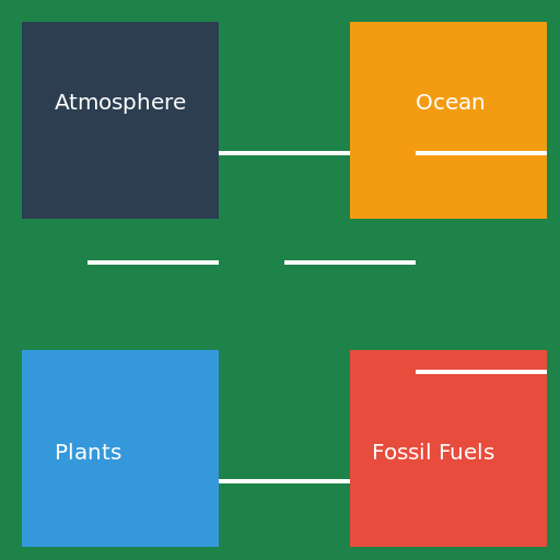 Carbon Cycle - DrawGPT