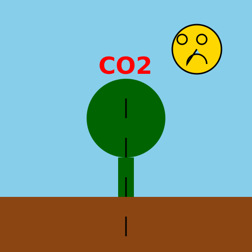 Carbon Sequestration - DrawGPT