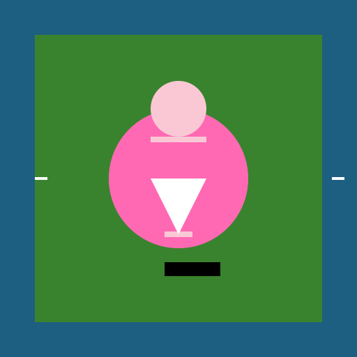 Ballerina in a Football Stadium - DrawGPT