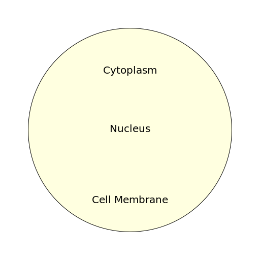 Hypothetical Cell - DrawGPT