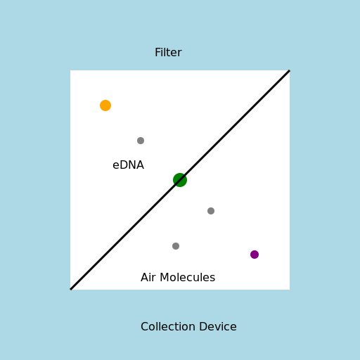 Airborne eDNA Collection and Materials on the Filter - DrawGPT