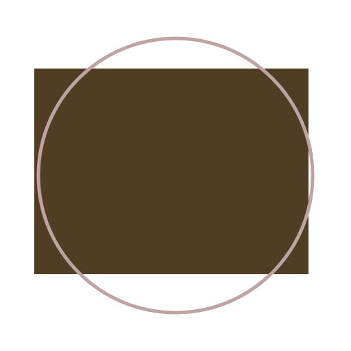 Viking Stadiums Through Time - DrawGPT