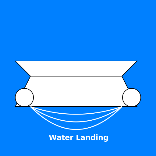 MD11 Water Landing - DrawGPT