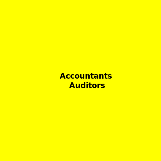 From Accountants to Auditors - DrawGPT