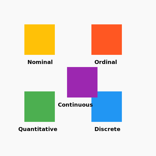 Data Types Infographic - DrawGPT