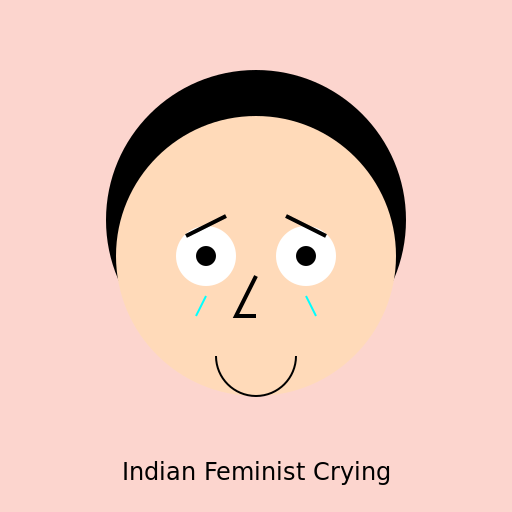 Indian Feminist Crying - DrawGPT