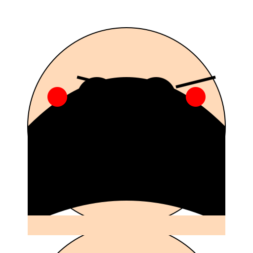 Japanese Girl - DrawGPT