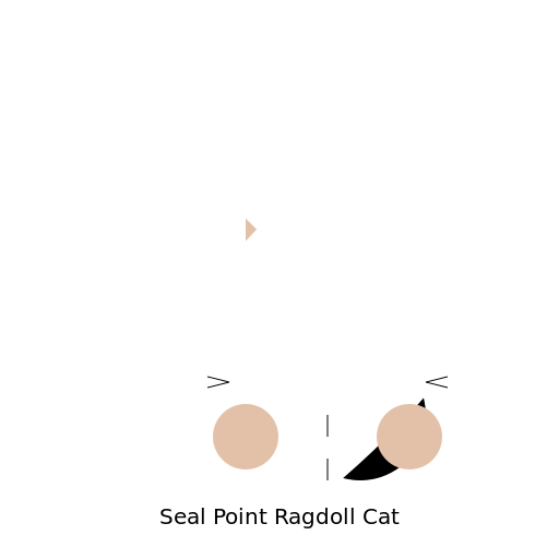 Caricature of a Seal Point Ragdoll Cat - DrawGPT