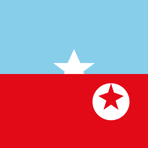 Turkish Flag in the Sky - DrawGPT