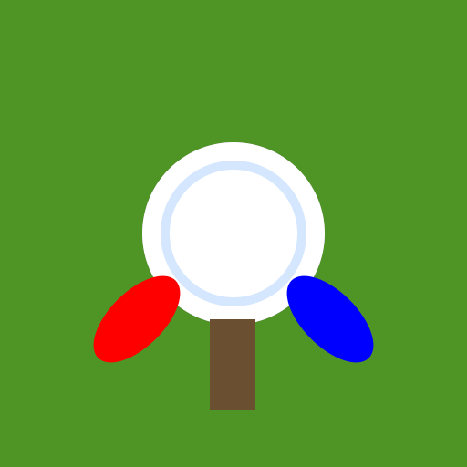 The Clairvoyant Football - DrawGPT