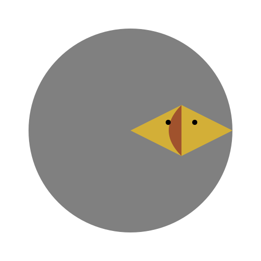 Flying Kangaroo Orbiting Around the Moon - DrawGPT