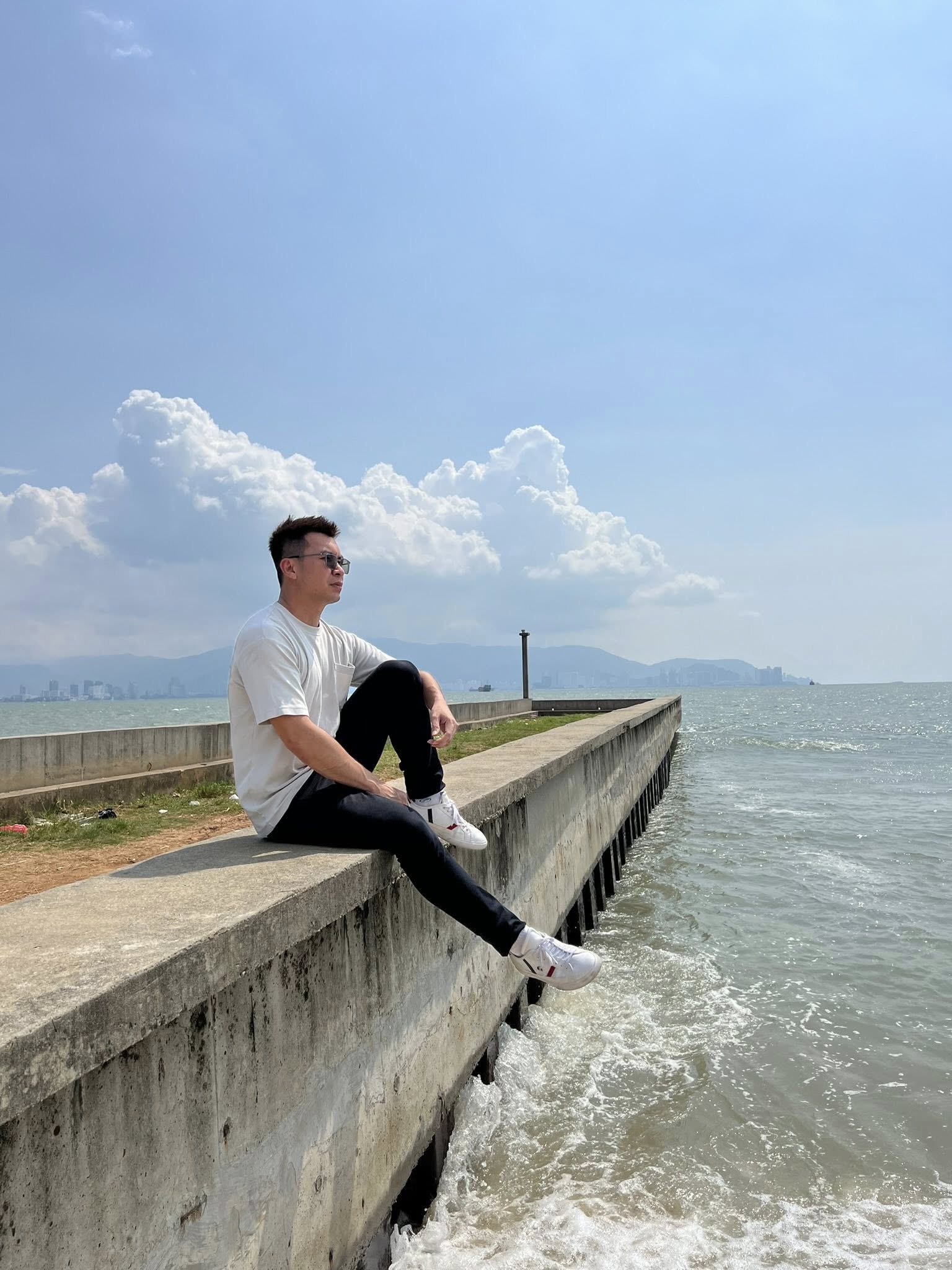 Flying Pigs Fun - DrawGPT