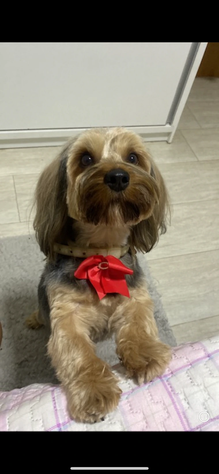 Cloe em versão humana - DrawGPT