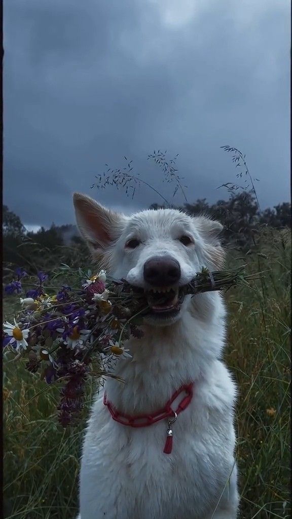 Cute Bunny Watercolor Style - DrawGPT