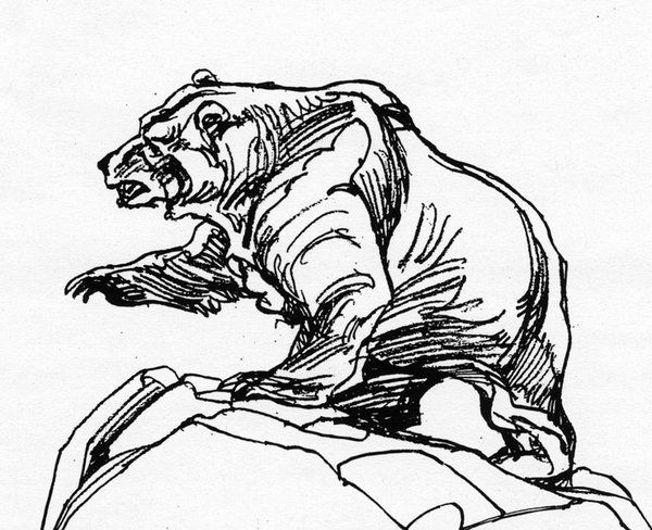 Grizzly Bear Line Drawing - DrawGPT
