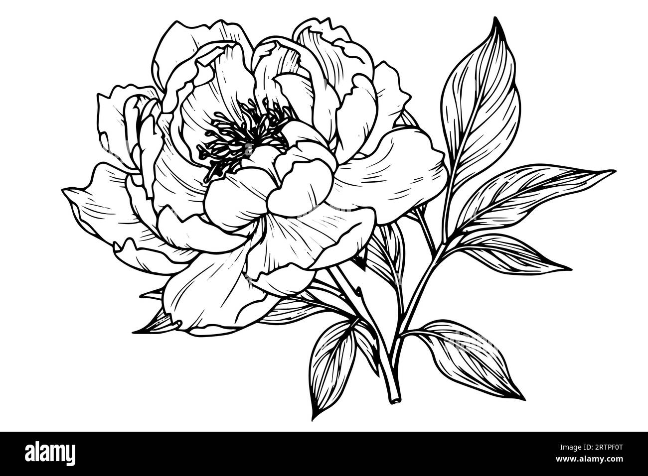 Tattoo Mockup - Gardenia, Peony, Jasmine - DrawGPT