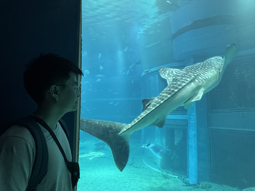 Uploaded Photo - DrawGPT