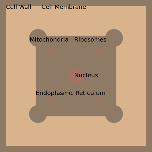 Draw and label Plant cell - AI Prompt #19288 - DrawGPT