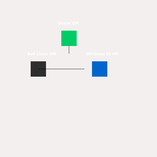 Kali Linux VM, Windows 10 VM, and Ossim VM in LAN Segment Network - AI Prompt #20596 - DrawGPT