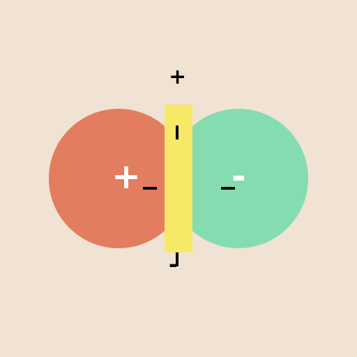 Attraction and Repulsion of Balloons and Cellulose Paper Strips - DrawGPT