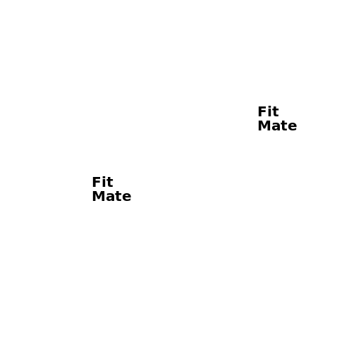 FitMate - DrawGPT