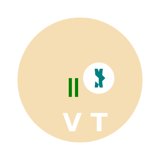 Symbol of Wealth and Peace with Initials V T - DrawGPT