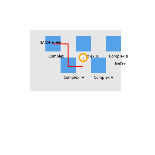 Electron Transport Chain of Cellular Respiration - DrawGPT