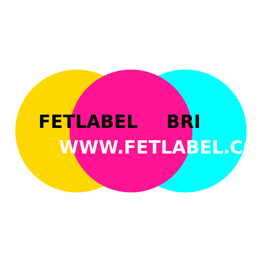 FETLABEL, BRI, WWW.FETLABEL.COM - DrawGPT