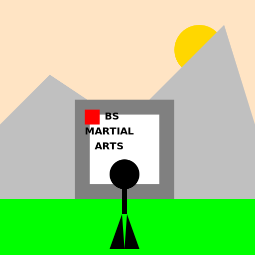 BS Martial Arts - DrawGPT