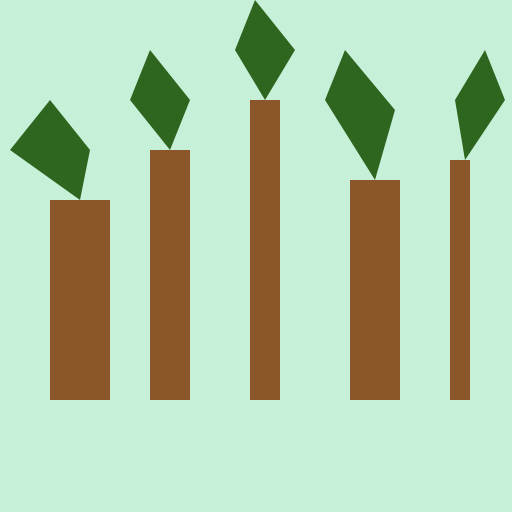 Long trees - DrawGPT