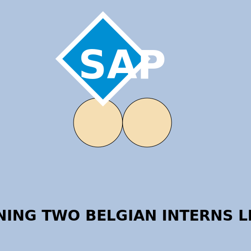 SAP ruining two belgian interns lives - DrawGPT