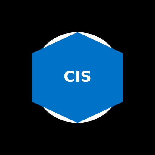 Center for International Sanctions Logo - DrawGPT