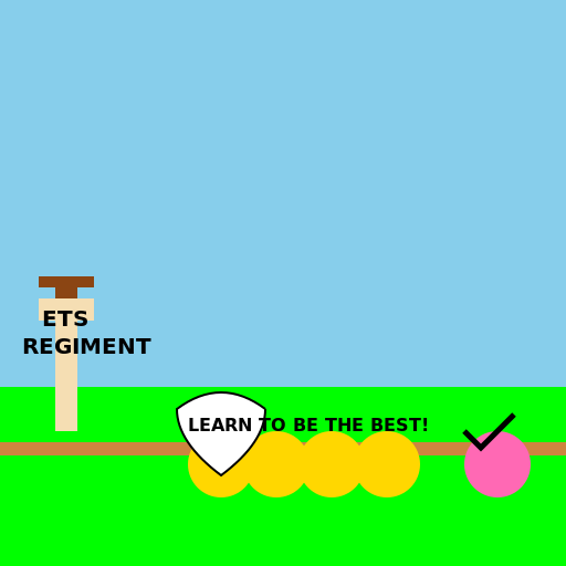 Education and Training Services Regiment training recruits in Roblox style - DrawGPT