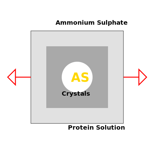 Ammonium Sulphate Precipitation Diagram - AI Prompt #30246 - DrawGPT
