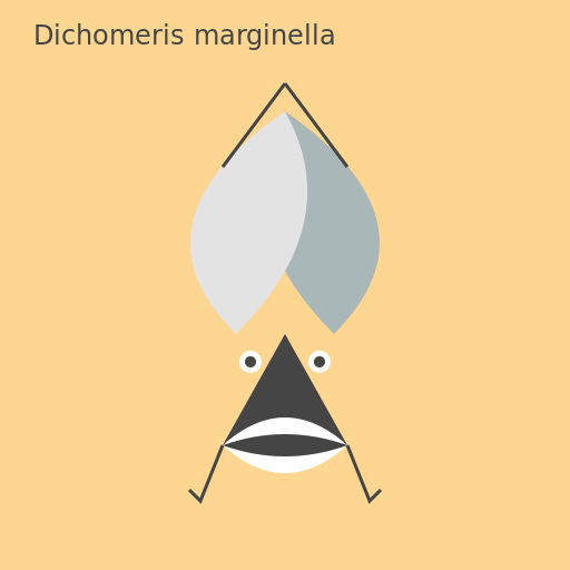 Dichomeris marginella - a beautiful moth with intricate patterns and colors - DrawGPT