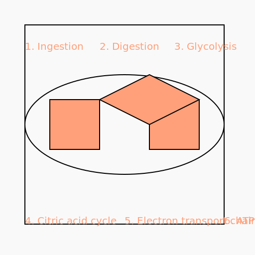 Mitochondria with all compartments - AI Prompt #34049 - DrawGPT