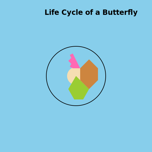 Life Cycle of a Butterfly - AI Prompt #35262 - DrawGPT