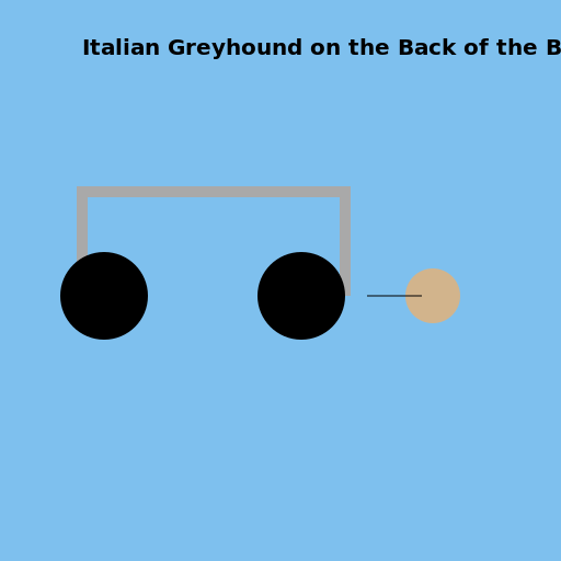Italian Greyhound on the Back of the Bike - AI Prompt #35395 - DrawGPT