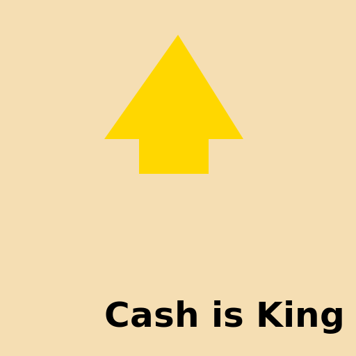 Cash is King - AI Prompt #35683 - DrawGPT