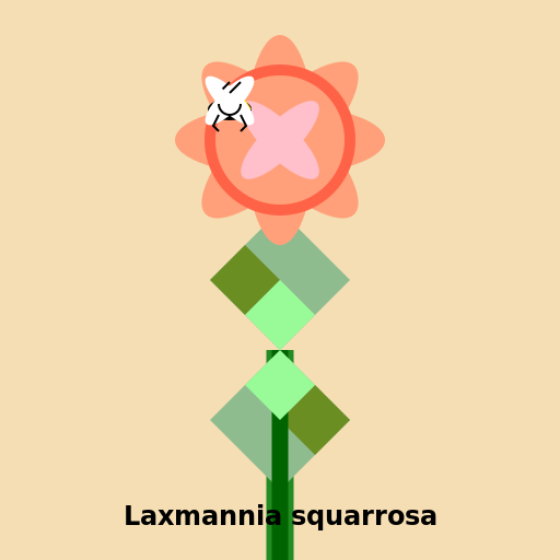 Laxmannia squarrosa - AI Prompt #41421 - DrawGPT