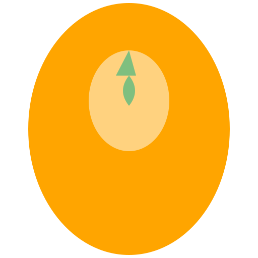 Mango - AI Prompt #41428 - DrawGPT