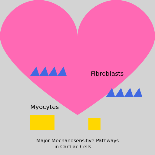 Mechanosensitive Pathways in Cardiac Cells - AI Prompt #43382 - DrawGPT