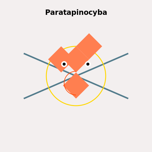 Paratapinocyba - A colorful spider-like creature with intricate patterns - AI Prompt #43602 - DrawGPT