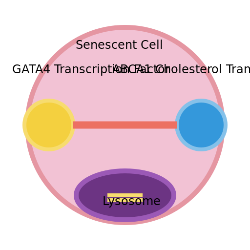 Senescence Induction - AI Prompt #44079 - DrawGPT