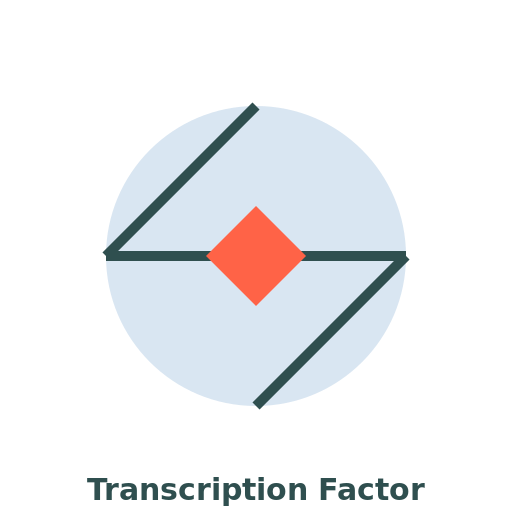 Transcription Factor - AI Prompt #44083 - DrawGPT